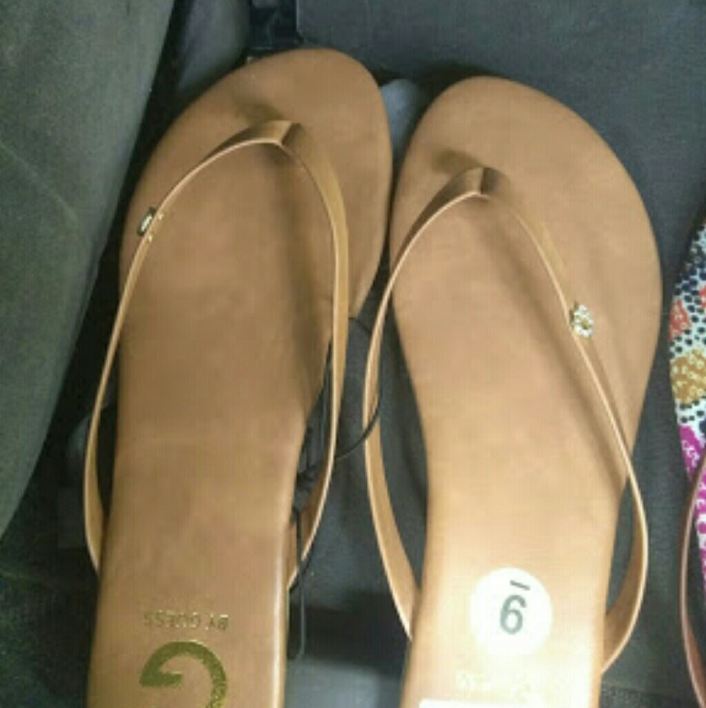 Guess slides